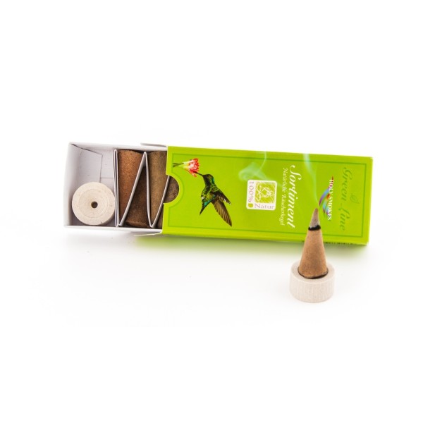 Conjunto de ocho conos de incienso variados de la línea verde